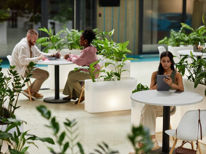 Wide angle shot of woman using tablet while sitting at table in cafe of office building. Business people working in cozy cafe featuring modern biophilic design